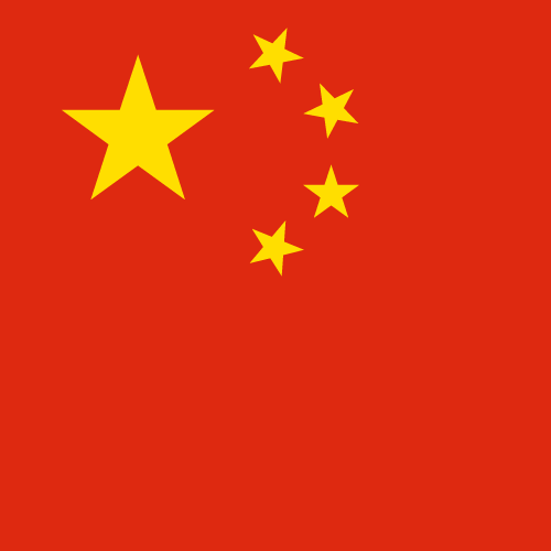 Chinese Logo